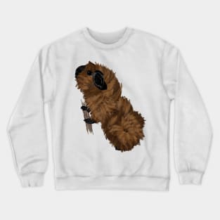 Nice Artwork showing a californian-colored Abyssinian Guinea Pig III Crewneck Sweatshirt